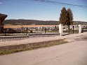 SAM_1375 SAM_1375